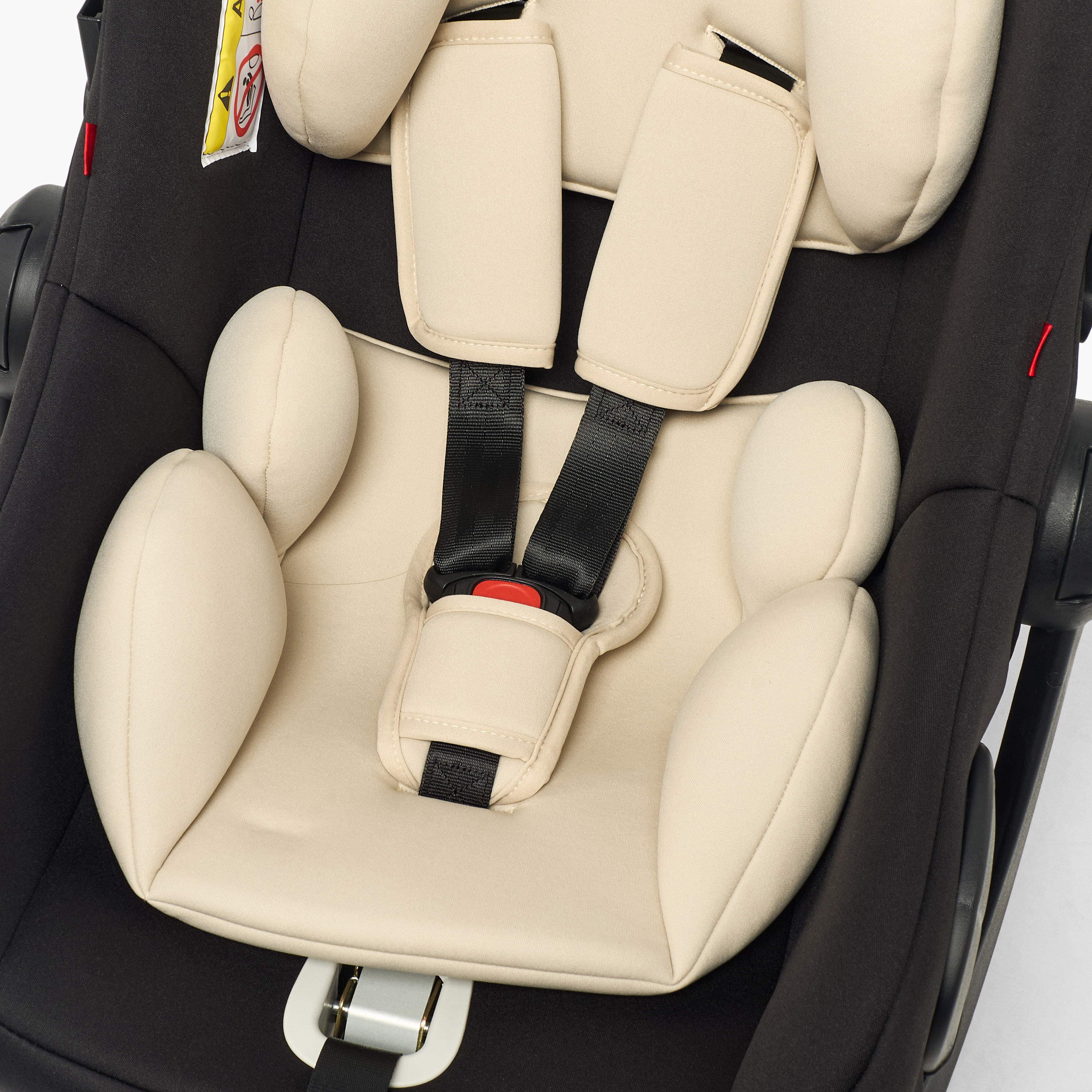 Little Bloomers Seat Belt Comfora Plus Car Seat with Base-baby-gear-carseats-image-12