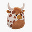 Squishmallows Plush Toy - Alonzo Brown & White Highland Cow - 19 cm-toys-plushsofttoys-cartooncharacters-image-2