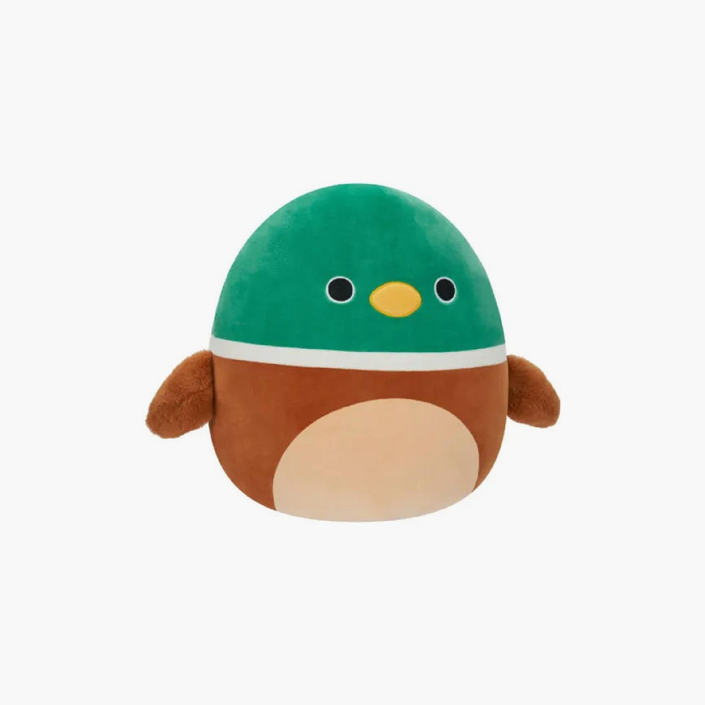Squishmallows Plush Toy - Avery Mallard Duck - 12 Inch-toys-plushsofttoys-cartooncharacters-image-2