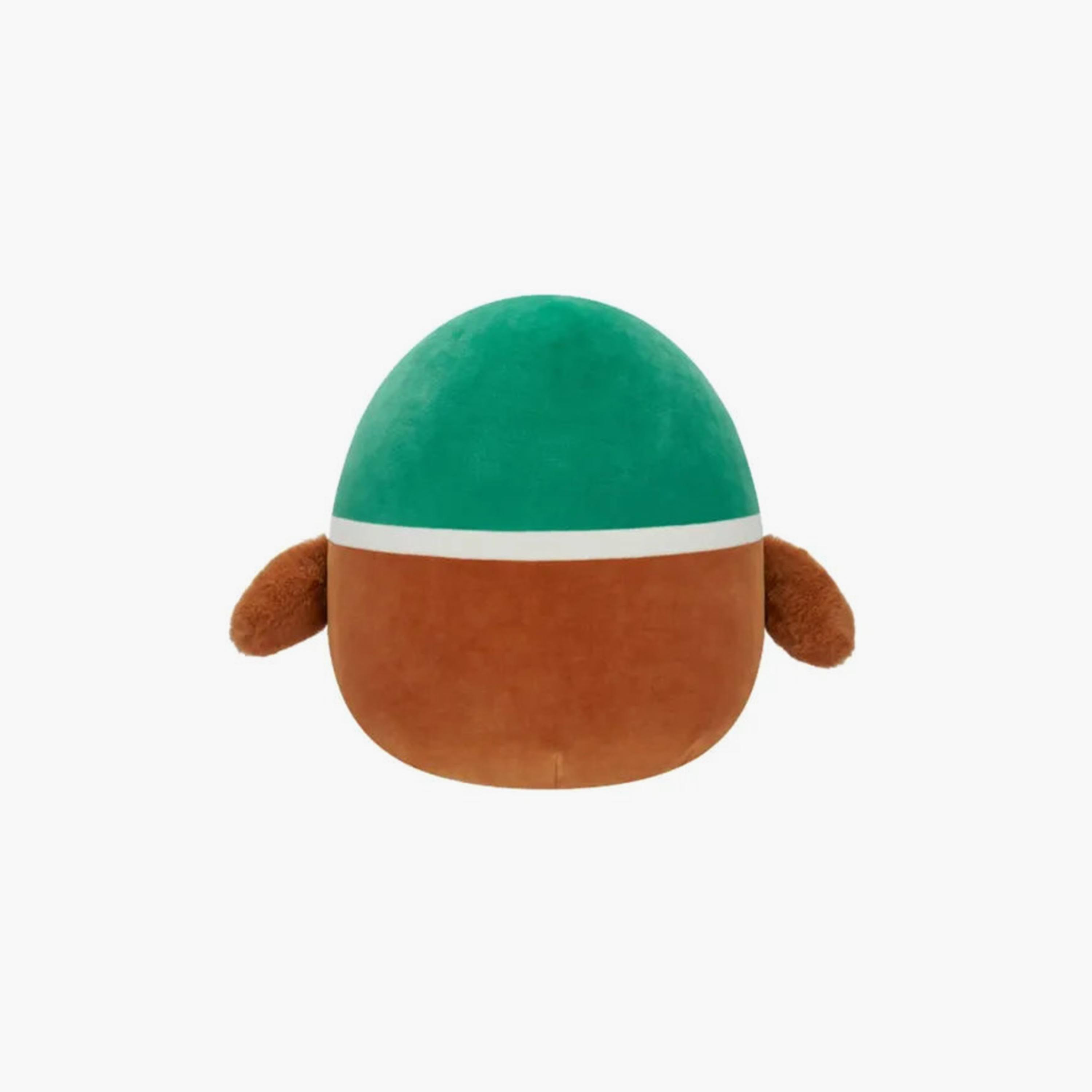 Squishmallows Plush Toy - Avery Mallard Duck - 12 Inch-toys-plushsofttoys-cartooncharacters-image-3