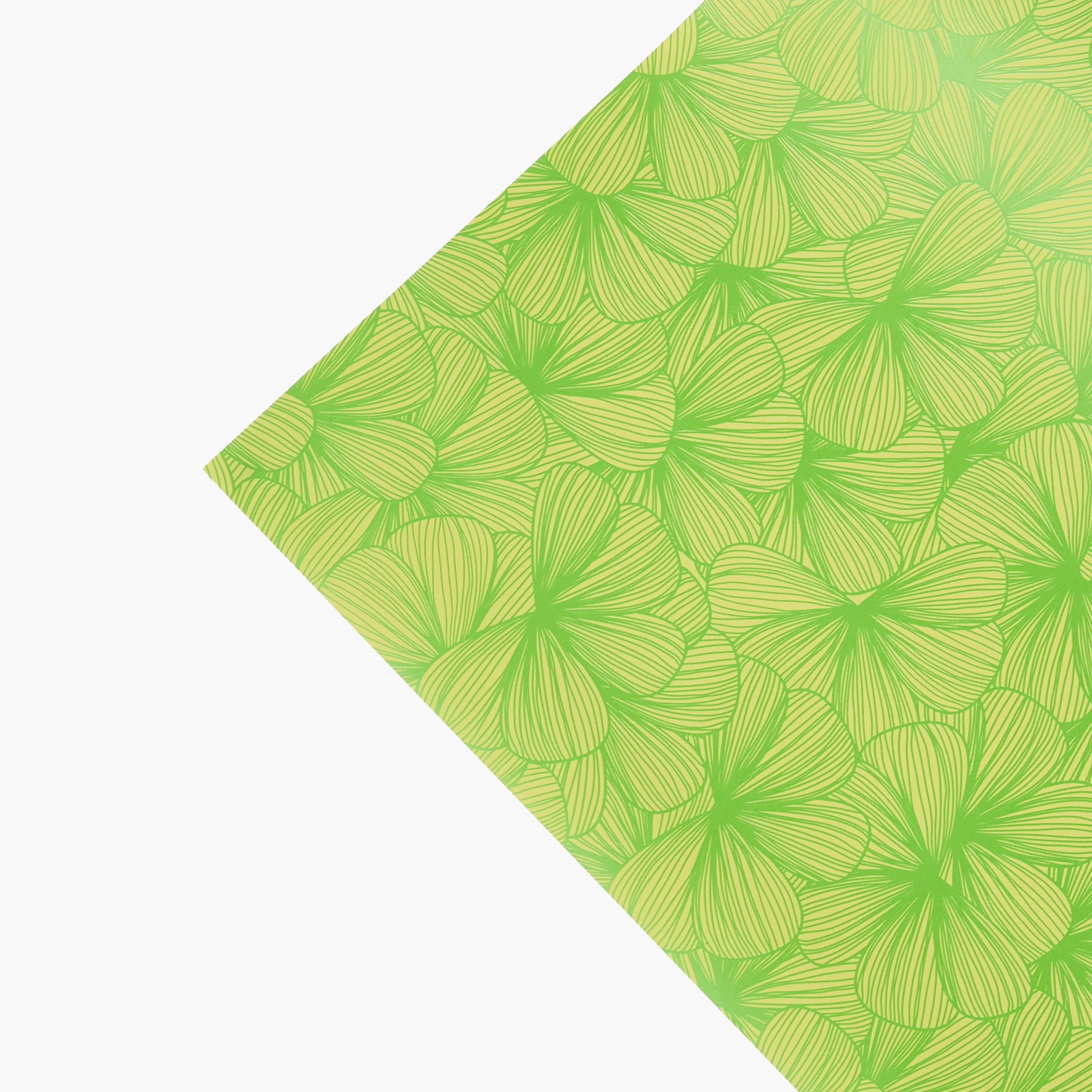 Findz Floral Print Paper Gift Wrap - 70x200 cms-household-decor-decorativeobjectsandsculptures-image-3