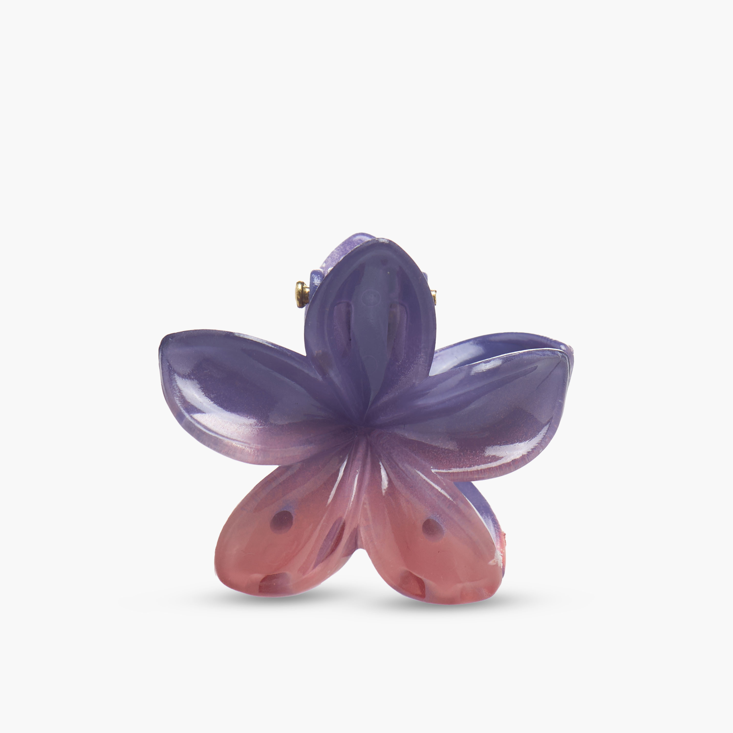 Pack of 3 Charmz Hair Clamp with Floral Design-girls-accessories-hairaccessories-image-4