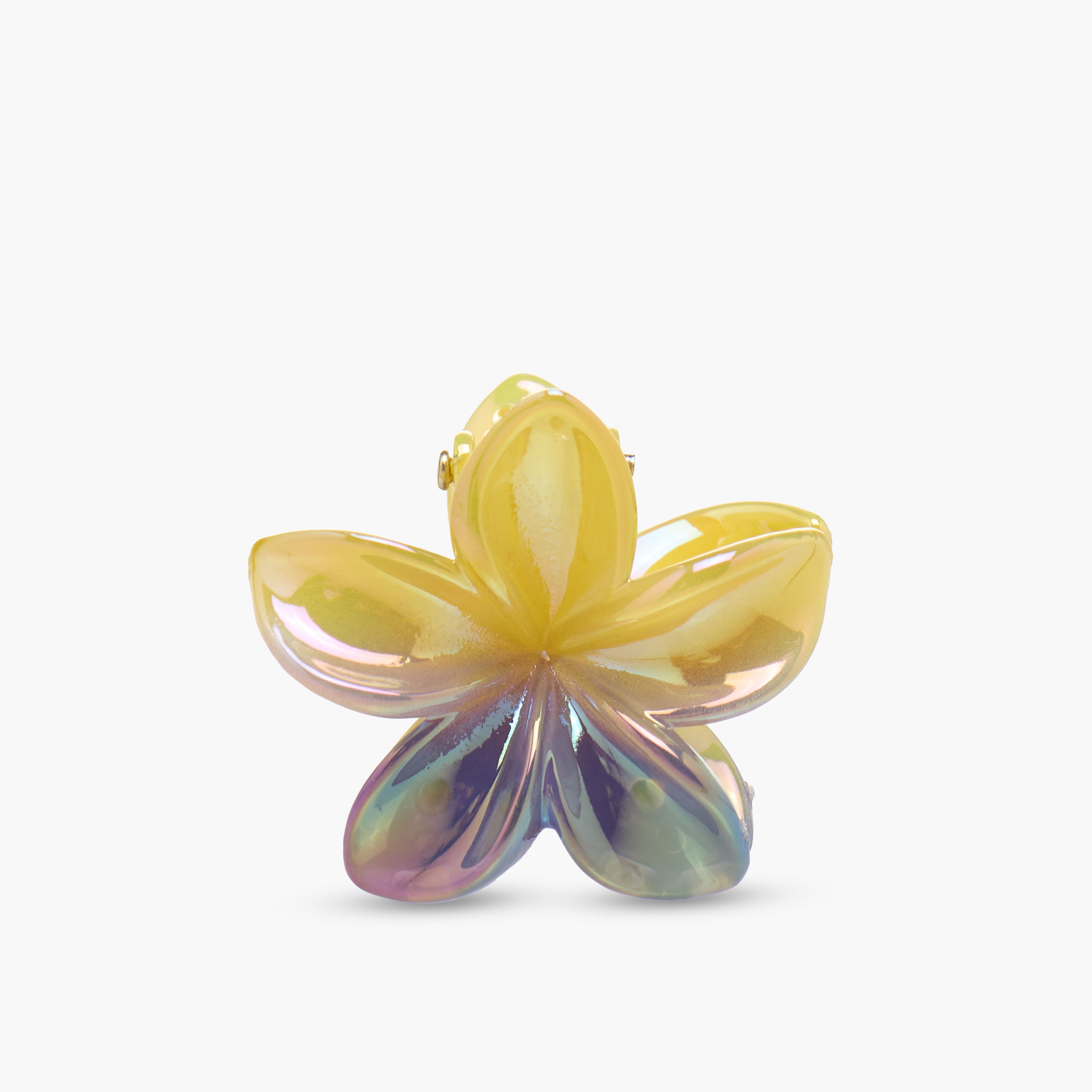 Pack of 3 Charmz Hair Clamp with Floral Design-girls-accessories-hairaccessories-image-2