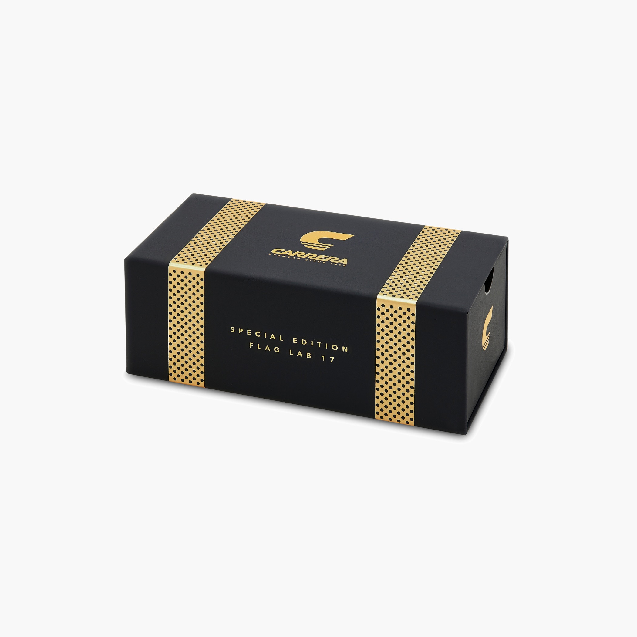 Special Edition Flaglab 17 Sunglasses-men-sunglasses-image-1