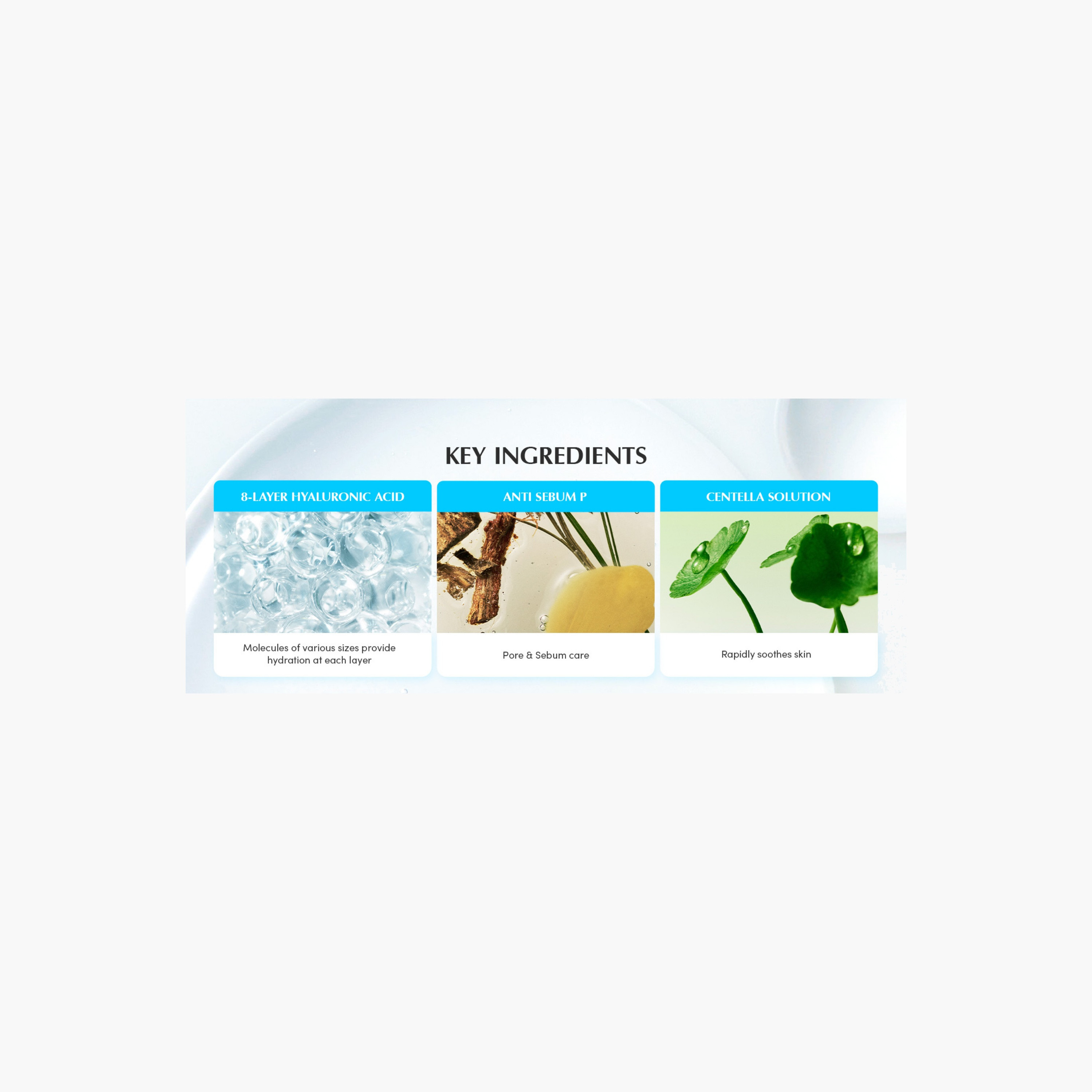EQQUALBERRY Deep Hydration Ampoule 50ml-beautyandpersonalcare-kbeauty-skin-suncare-bodysunscreen-image-6