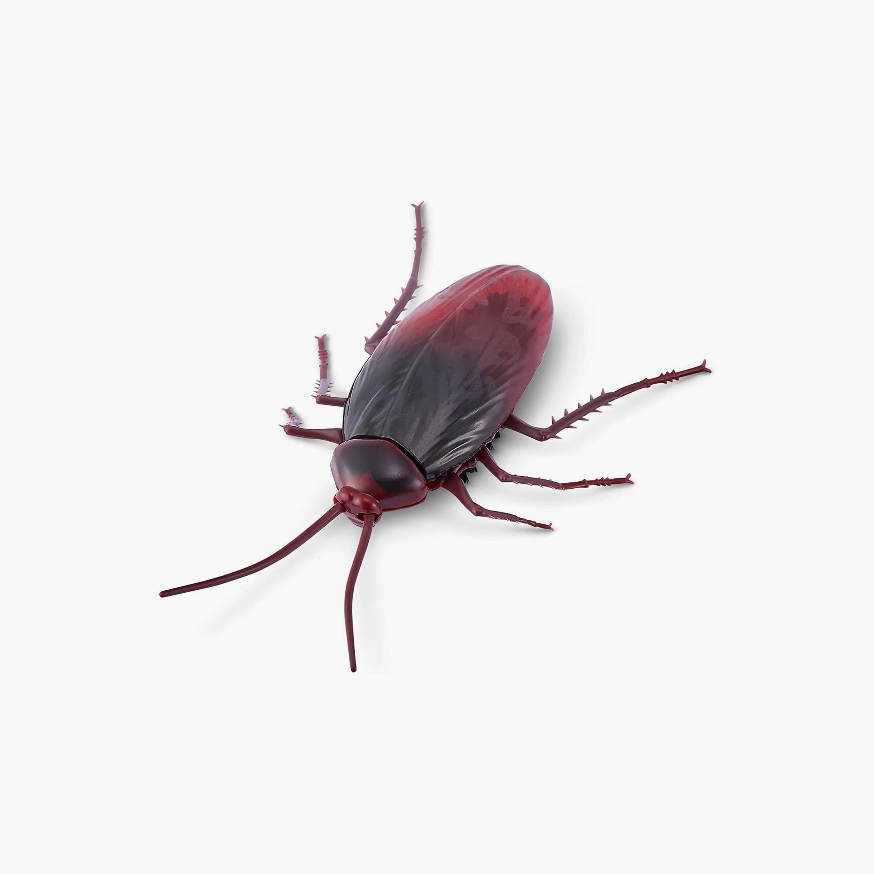 ZURU Robo Alive Glow-in-the-dark Crawling Cockroach Toy-toys-playfigures-animals-image-1