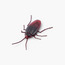 ZURU Robo Alive Glow-in-the-dark Crawling Cockroach Toy-toys-playfigures-animals-image-1