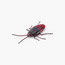 ZURU Robo Alive Glow-in-the-dark Crawling Cockroach Toy-toys-playfigures-animals-image-2