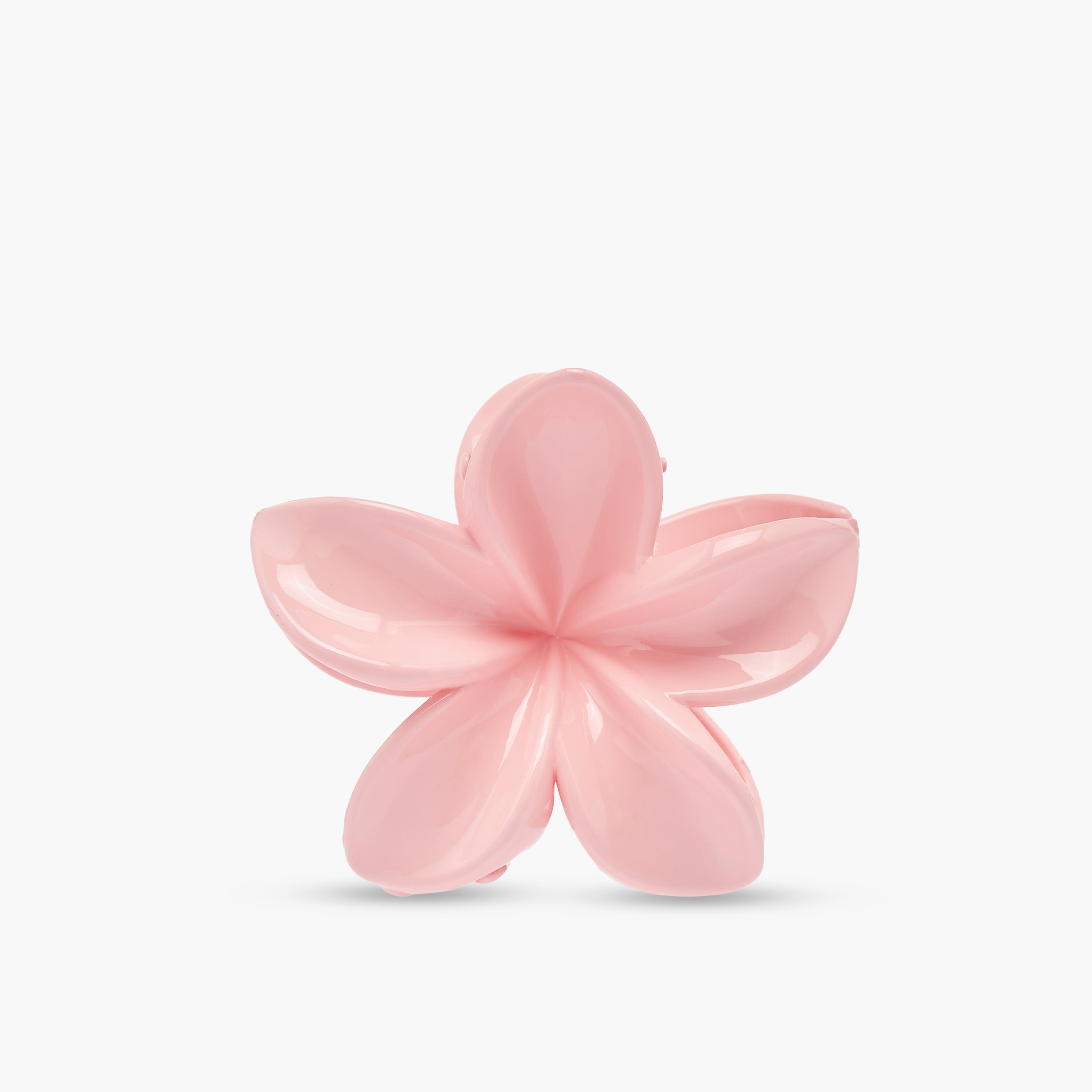 Pack of 2 Hair Clamp with Floral Design-women-hairaccessories-clamps-image-3