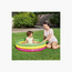 Bestway Swim Squad Kiddie Pool-toys-outdoor-poolandbeach-pools-image-7