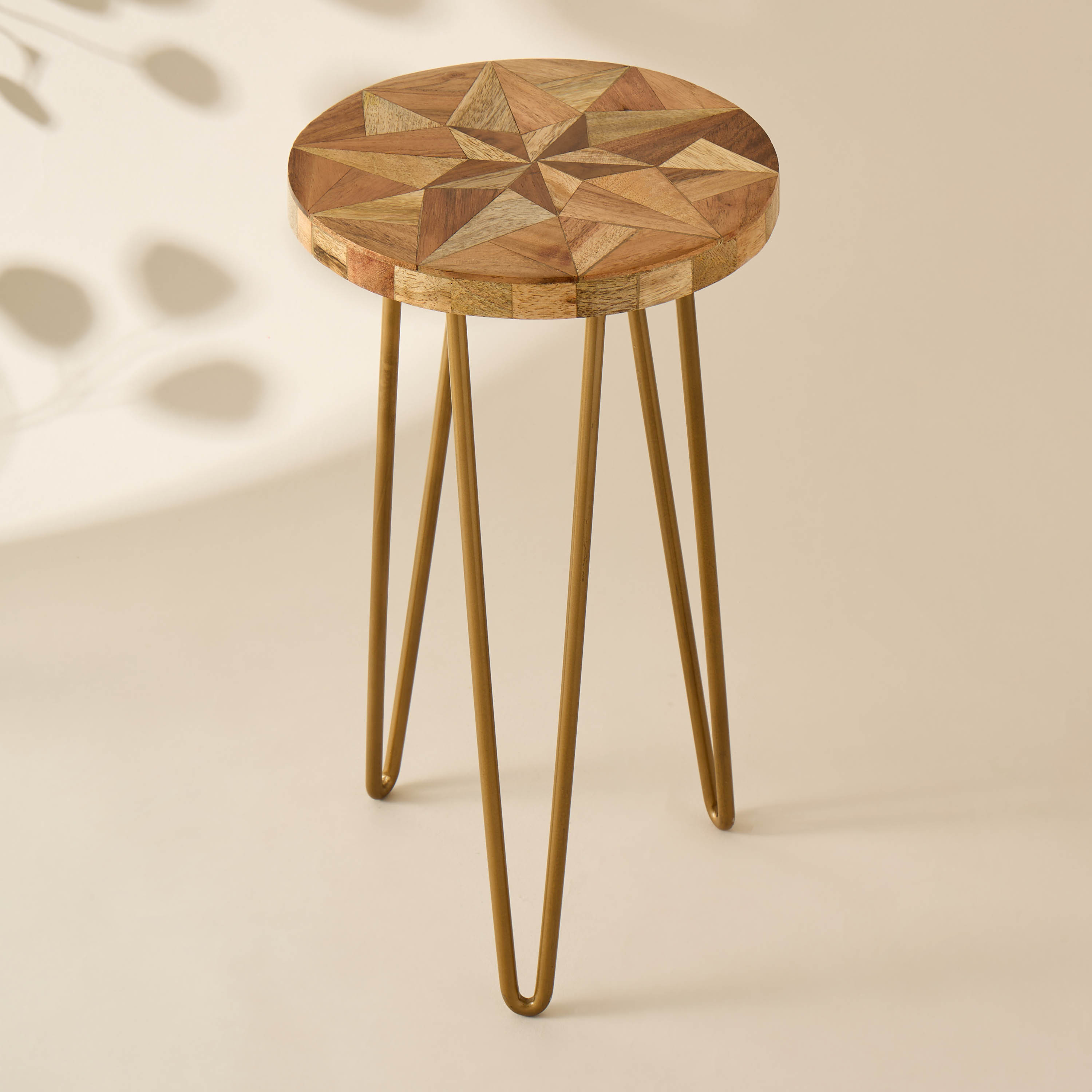 Decorative Metal Plant Stand - 20x38 cms-household-gardenandoutdoor-trellisandstands-plantstands-image-2