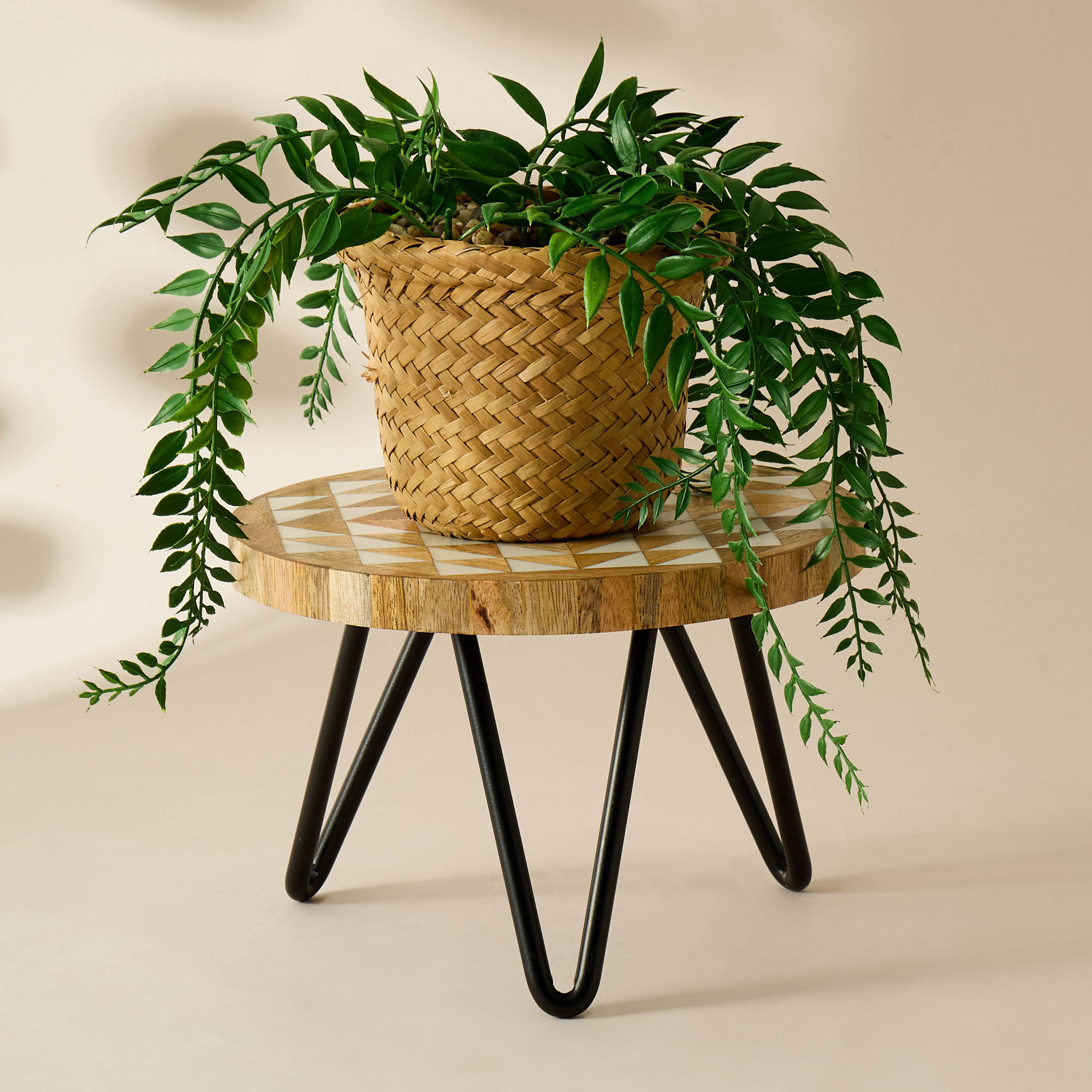 Metal Plant Stand - 20x13 cms-household-gardenandoutdoor-trellisandstands-plantstands-image-1