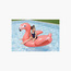Bestway Flamingo Inflatable Ride-On Float-toys-outdoor-poolandbeach-floatsandboats-image-7