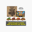 Monster Jam 2 Pack 1:64 Mystery Mudders Set-toys-playvehicles-cars-image-9