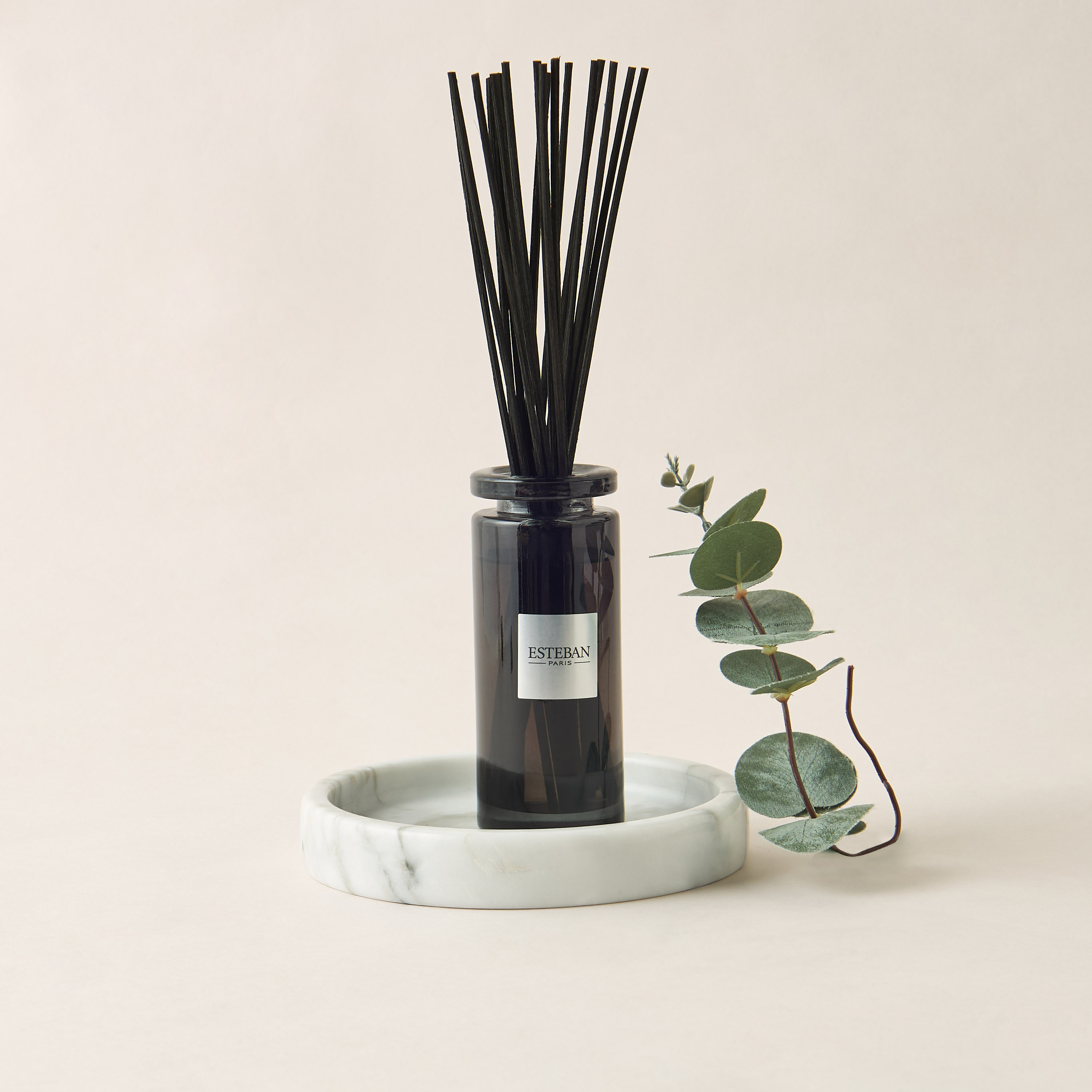 Esteban Teck and Tonka Scented Reed Diffuser Set - 100 ml-household-homefragrance-fragranceoilsandessence-image-1