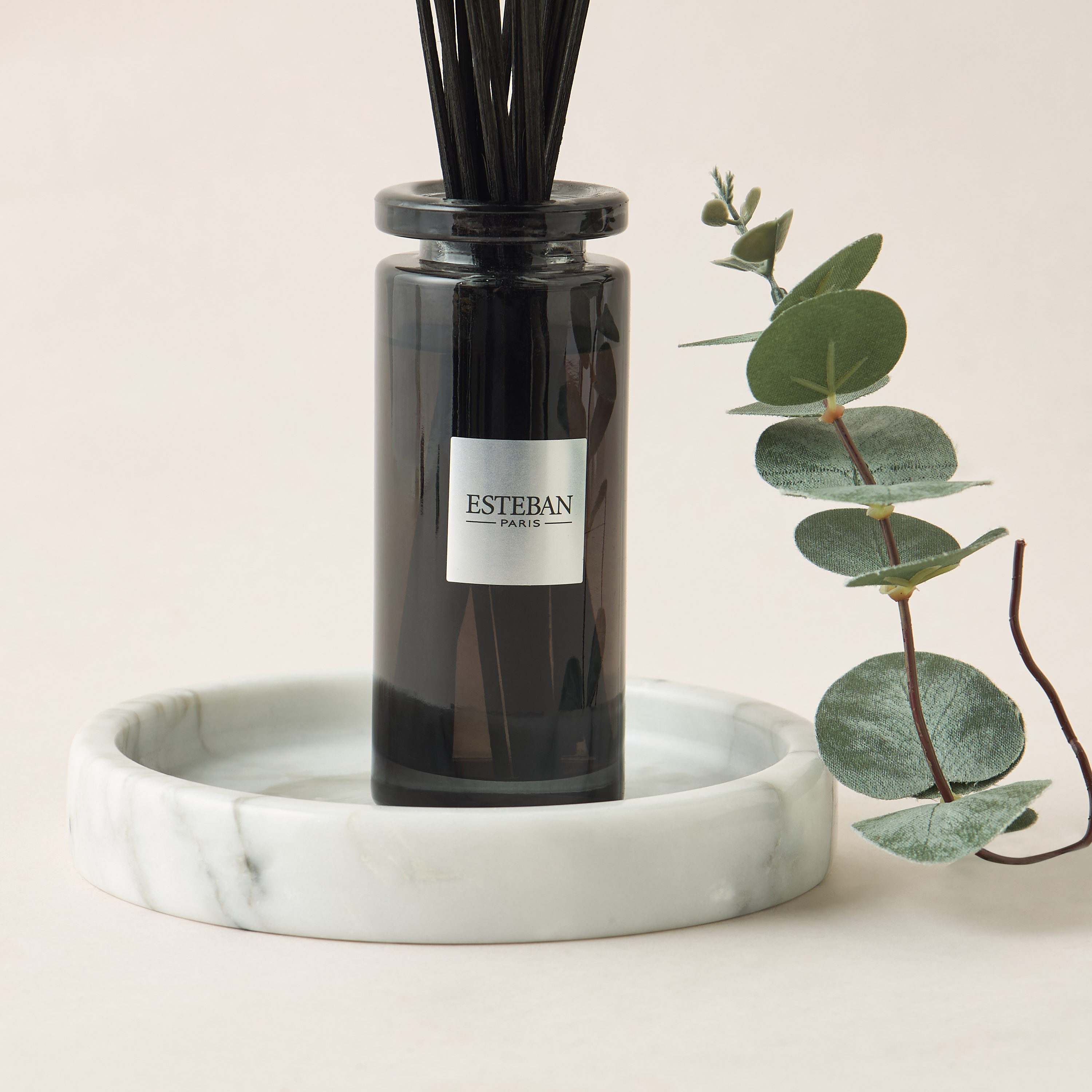 Esteban Teck and Tonka Scented Reed Diffuser Set - 100 ml-household-homefragrance-fragranceoilsandessence-image-2