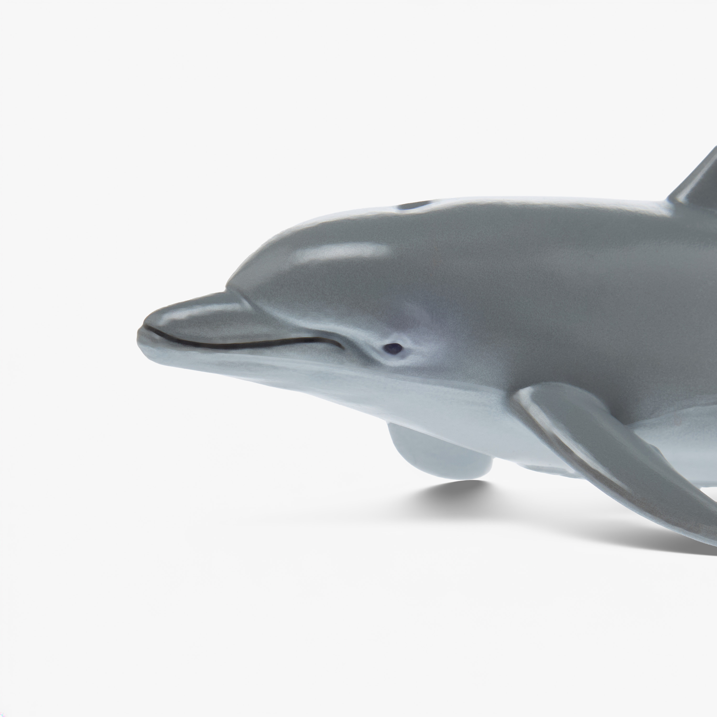 Juniors Bottlenose Dolphin Toy Model-toys-playfigures-animals-image-4