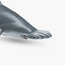 Juniors Scalloped Hammerhead Shark Model Toy-toys-buildingblocks-blocks-image-4