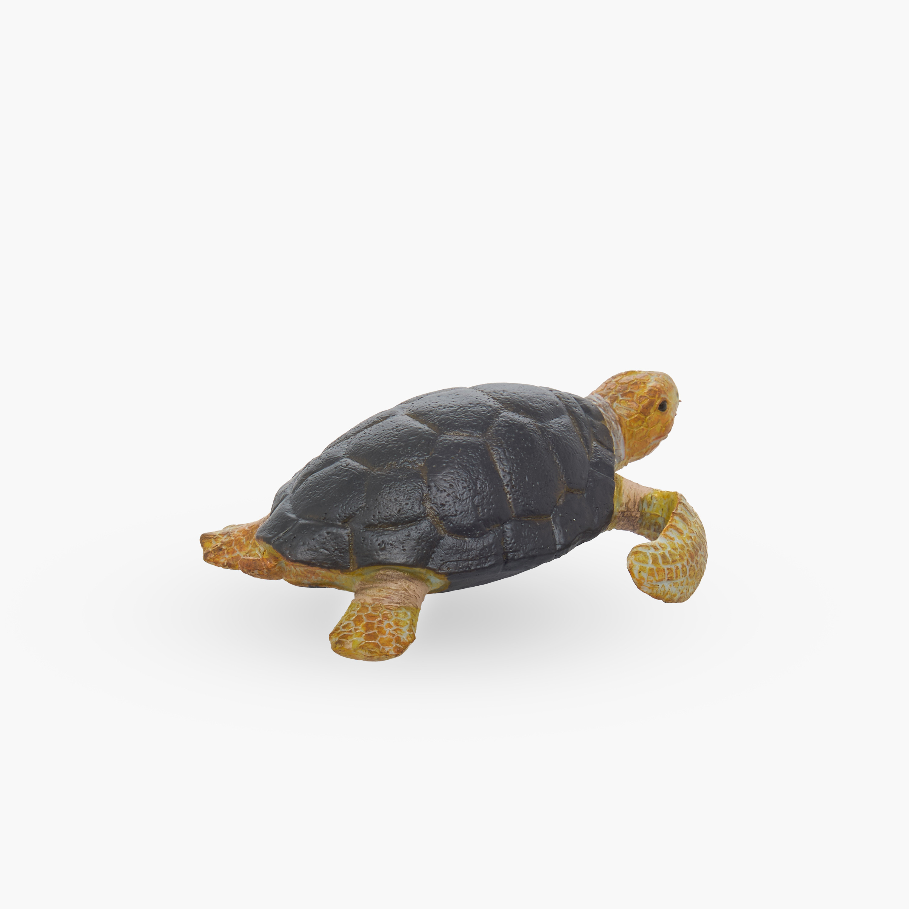 Juniors Loggerhead Turtle Model Toy-toys-buildingblocks-magnetictoys-image-3