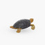 Juniors Loggerhead Turtle Model Toy-toys-buildingblocks-blocks-image-3