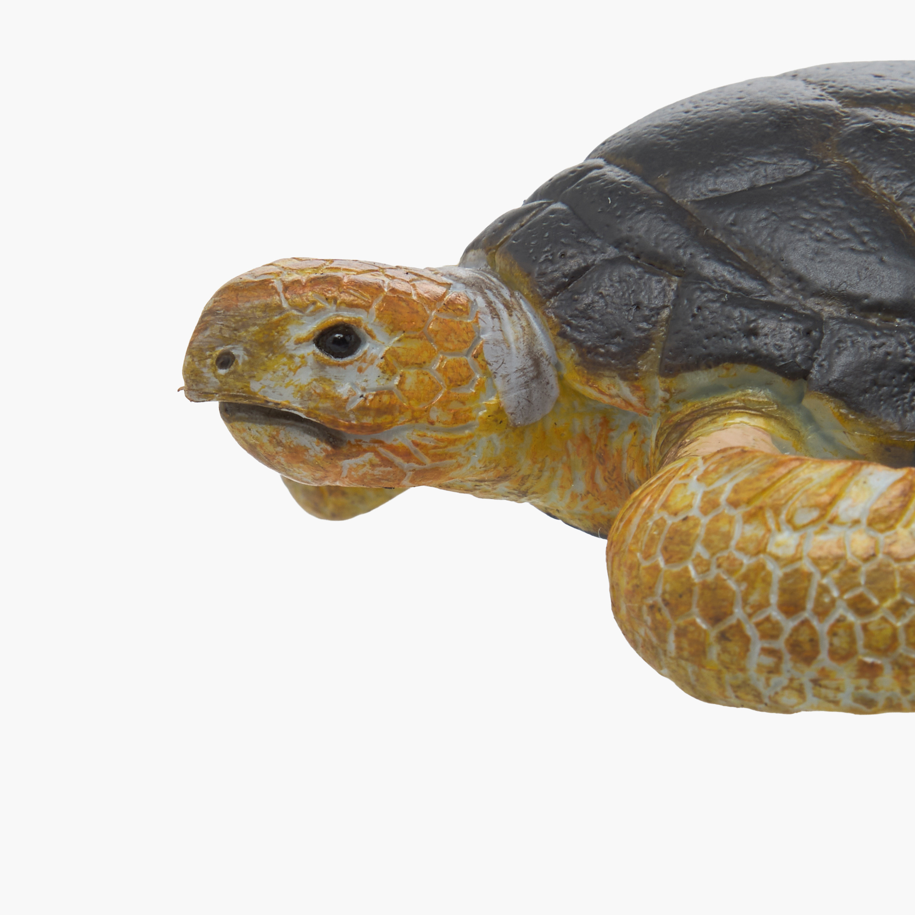 Juniors Loggerhead Turtle Model Toy-toys-buildingblocks-magnetictoys-image-4