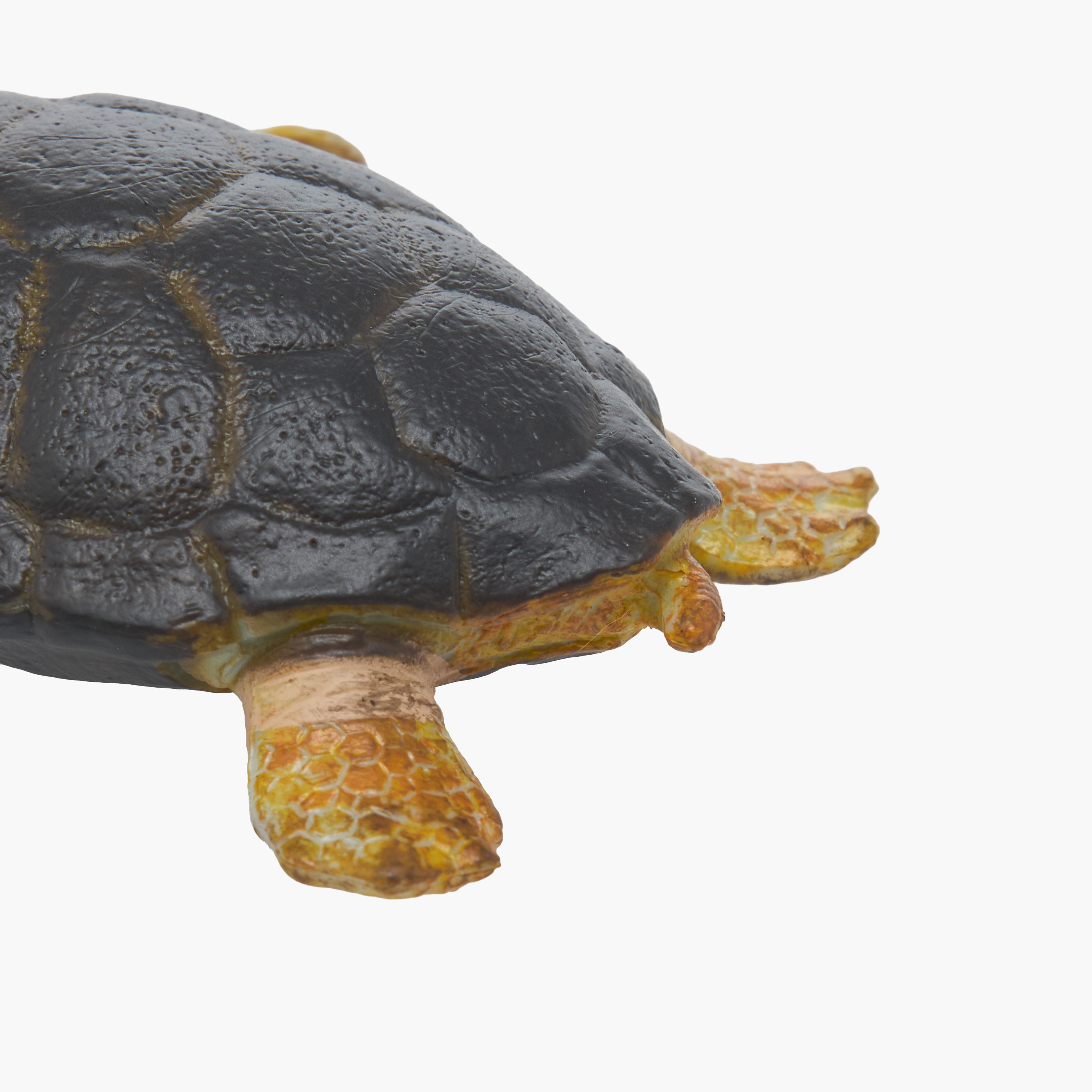Juniors Loggerhead Turtle Model Toy-toys-buildingblocks-magnetictoys-image-5