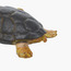 Juniors Loggerhead Turtle Model Toy-toys-buildingblocks-blocks-image-5