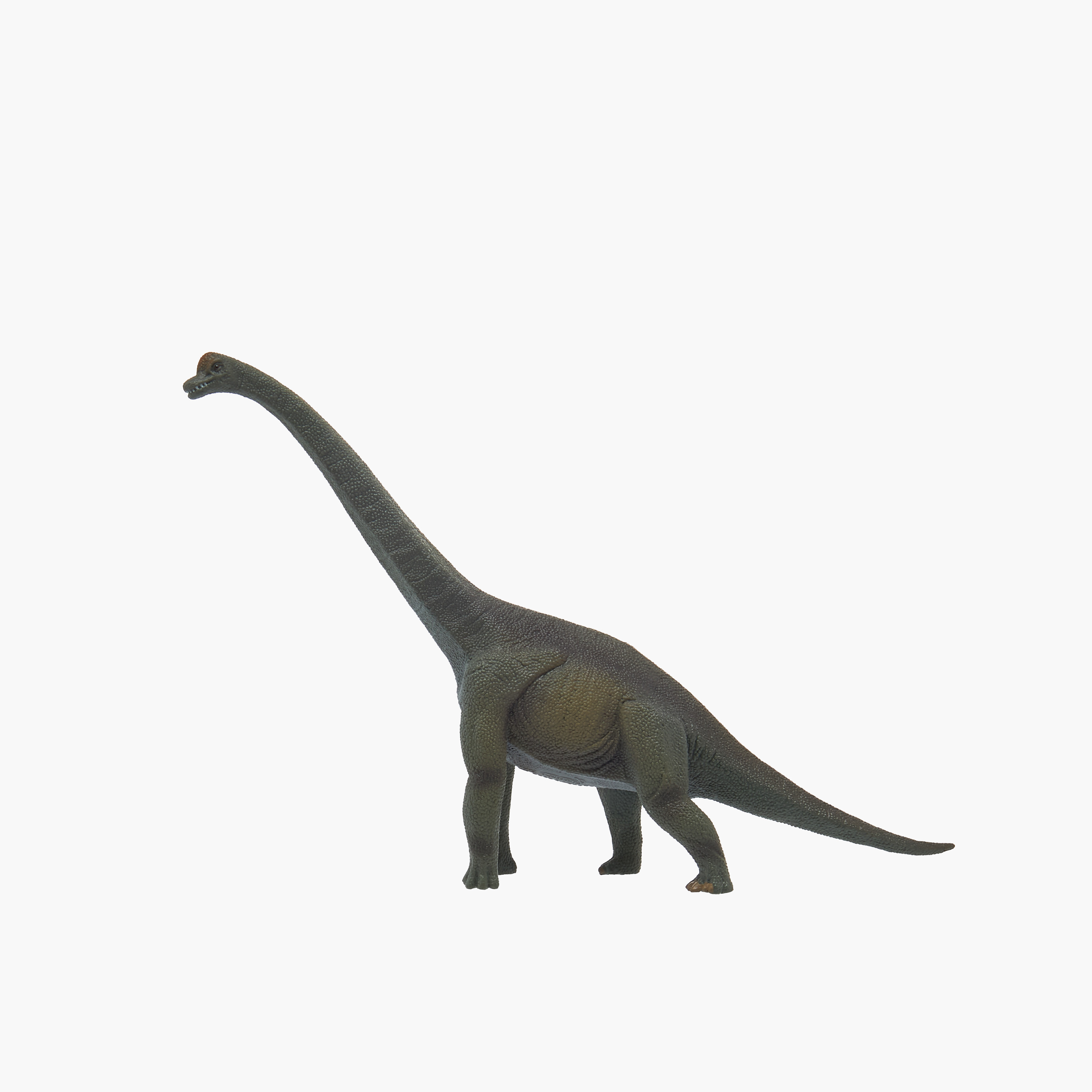 Juniors Brachiosaurus Dinosaur Model Toy-toys-buildingblocks-magnetictoys-image-1
