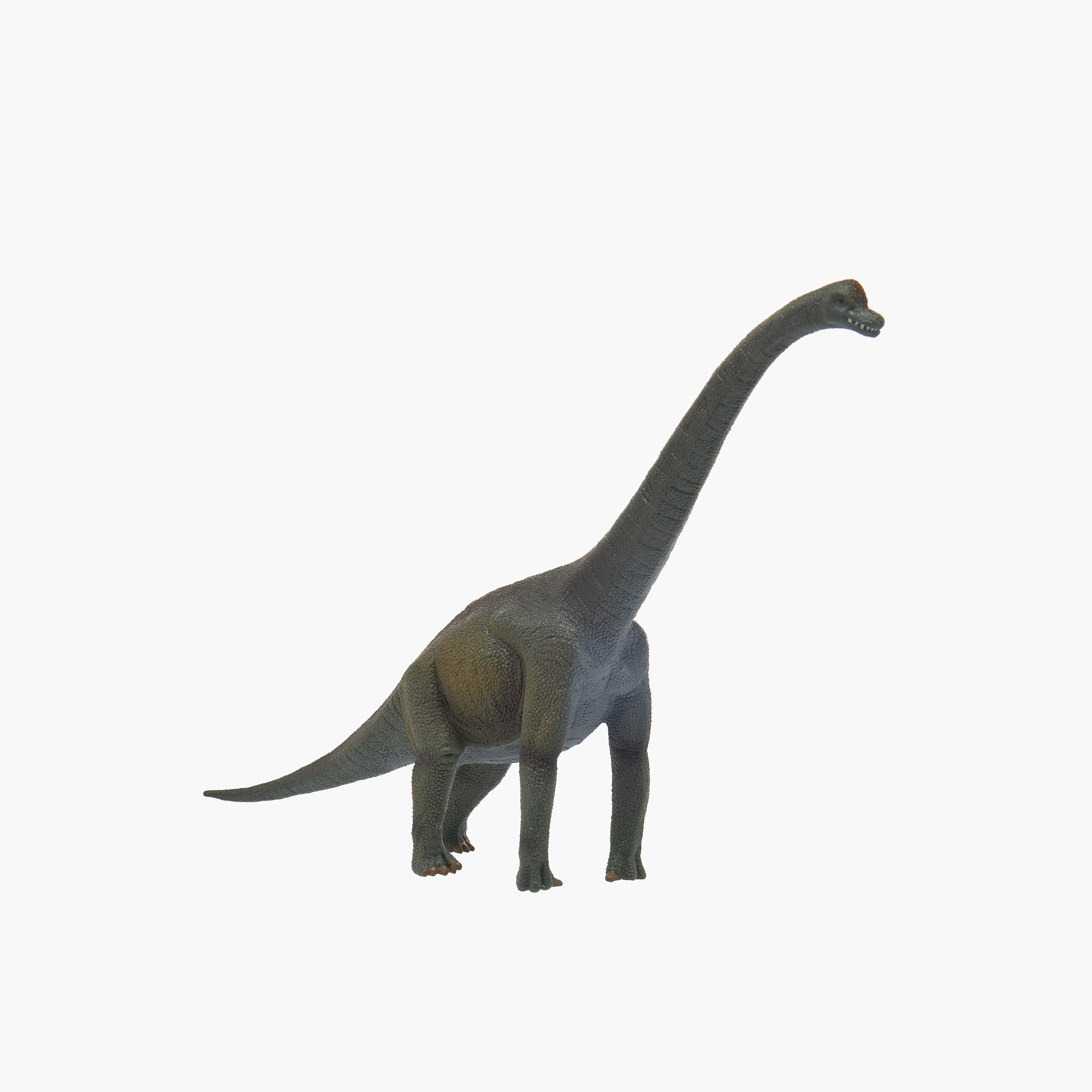 Juniors Brachiosaurus Dinosaur Model Toy-toys-buildingblocks-magnetictoys-image-2