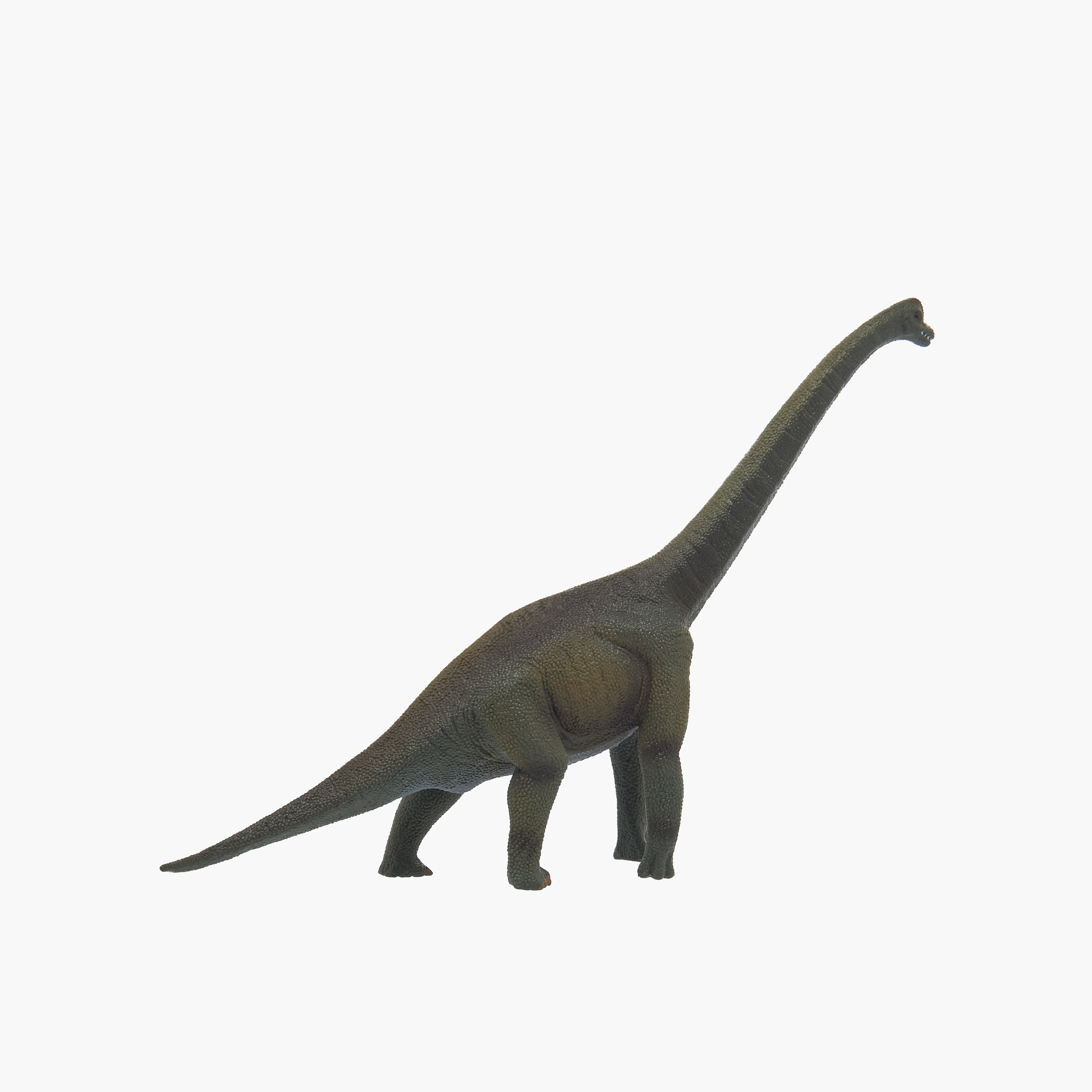 Juniors Brachiosaurus Dinosaur Model Toy-toys-buildingblocks-magnetictoys-image-3