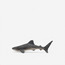 Juniors Whale Shark Model Toy-toys-playfigures-animals-image-1