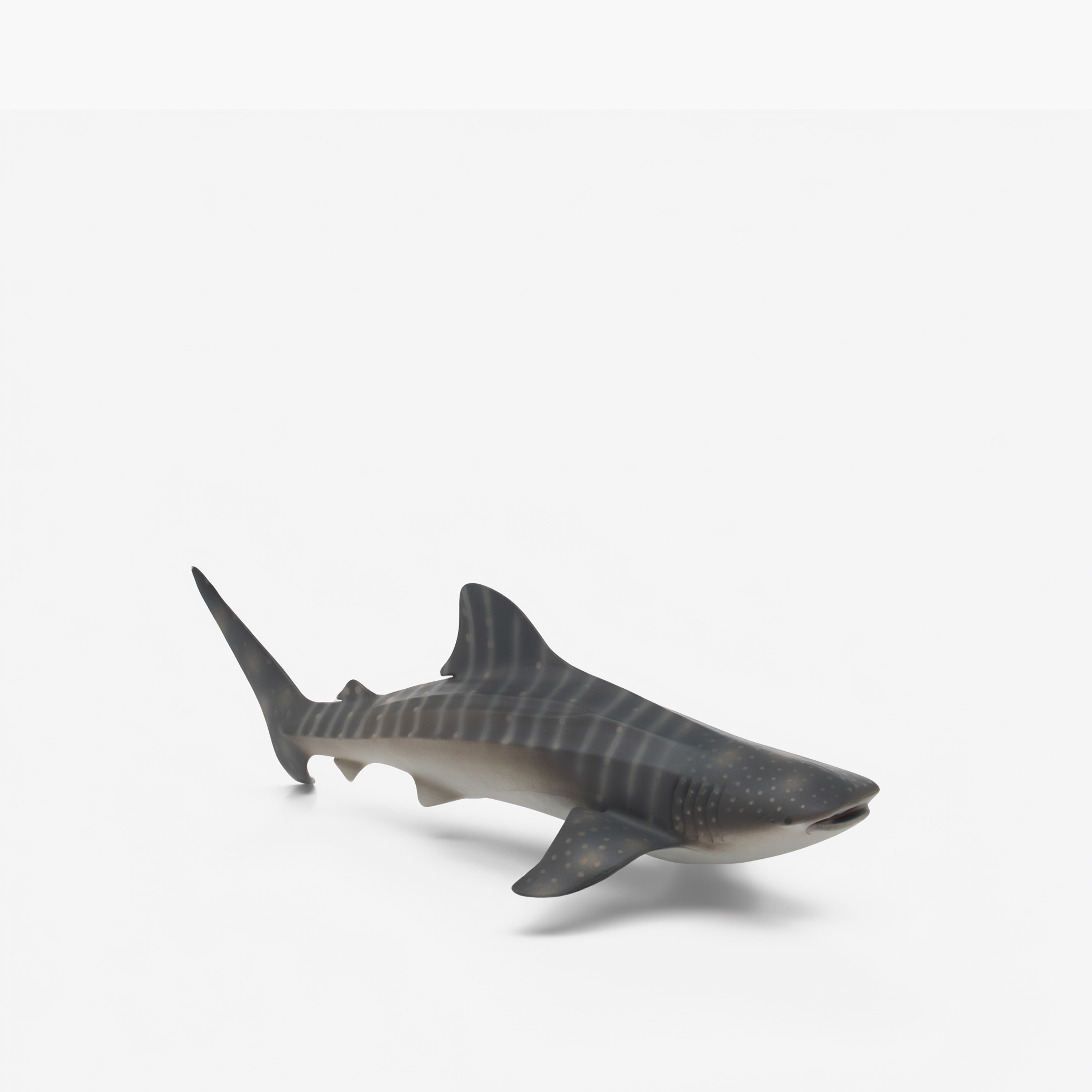 Juniors Whale Shark Model Toy-toys-playfigures-animals-image-2