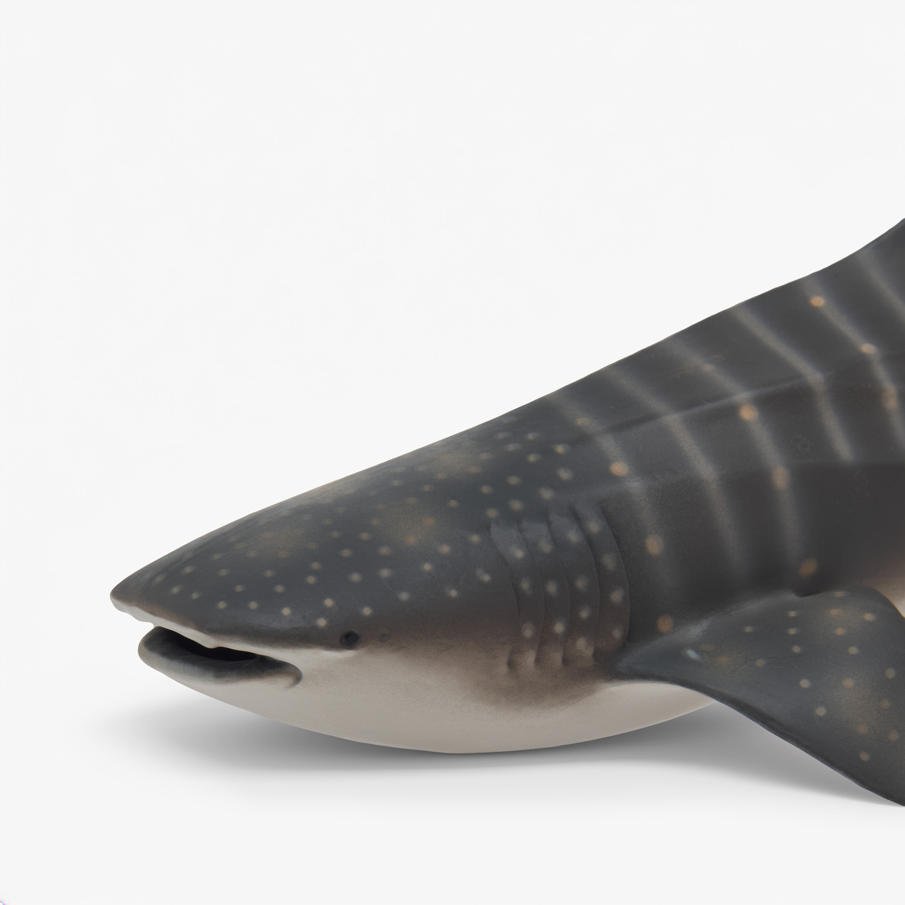 Juniors Whale Shark Model Toy-toys-playfigures-animals-image-4