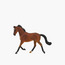 Juniors Thoroughbred Mare Bay Model Toy-toys-playfigures-animals-image-2