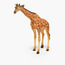 Juniors Reticulated Giraffe Model Toy-toys-playfigures-animals-image-1