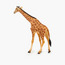 Juniors Reticulated Giraffe Model Toy-toys-playfigures-animals-image-3