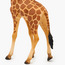 Juniors Reticulated Giraffe Model Toy-toys-playfigures-animals-image-5