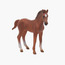 Juniors Standing Thoroughbred Foal Model Toy-toys-playfigures-animals-image-2
