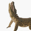 Juniors Leaping Crocodile Model Toy-toys-playfigures-animals-image-4