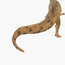 Juniors Spinosaurus Walking Model Toy-toys-playfigures-animals-image-5