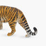 Juniors Siberian Tiger Figurine-toys-playfigures-animals-image-5