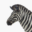 Juniors Common Zebra Model Toy-toys-buildingblocks-blocks-image-4