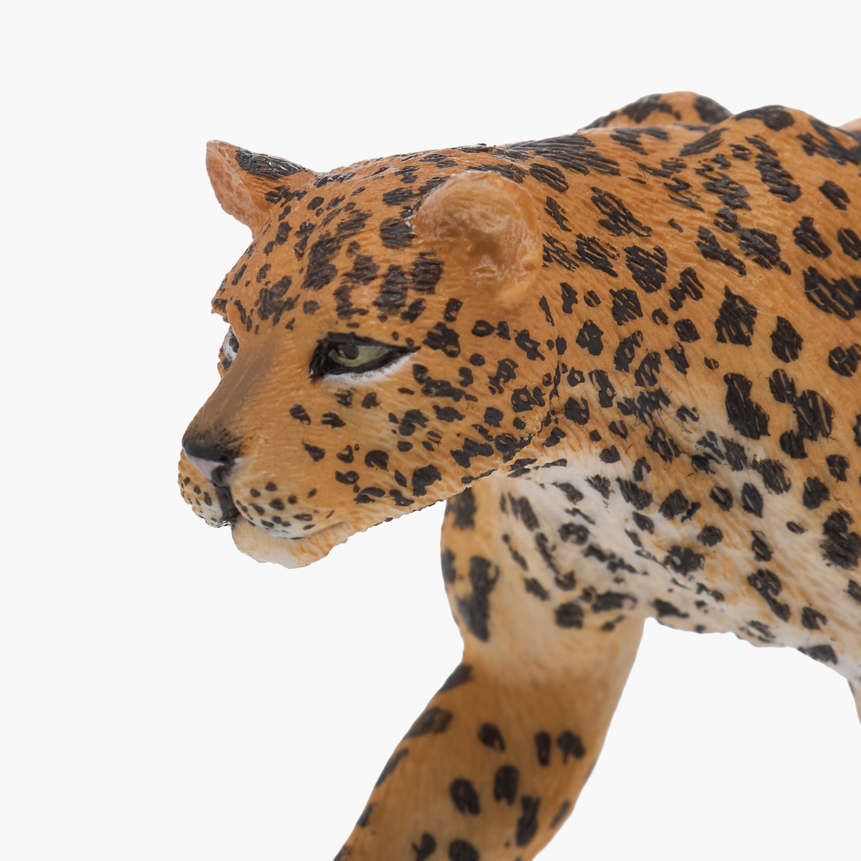 Juniors African Leopard Model Toy-toys-buildingblocks-magnetictoys-image-4