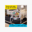 Baby Einstein Dean's Discovery Spot Infant to Toddler Rocker with Detachable Toys-baby-infantactivity-rockers-image-5