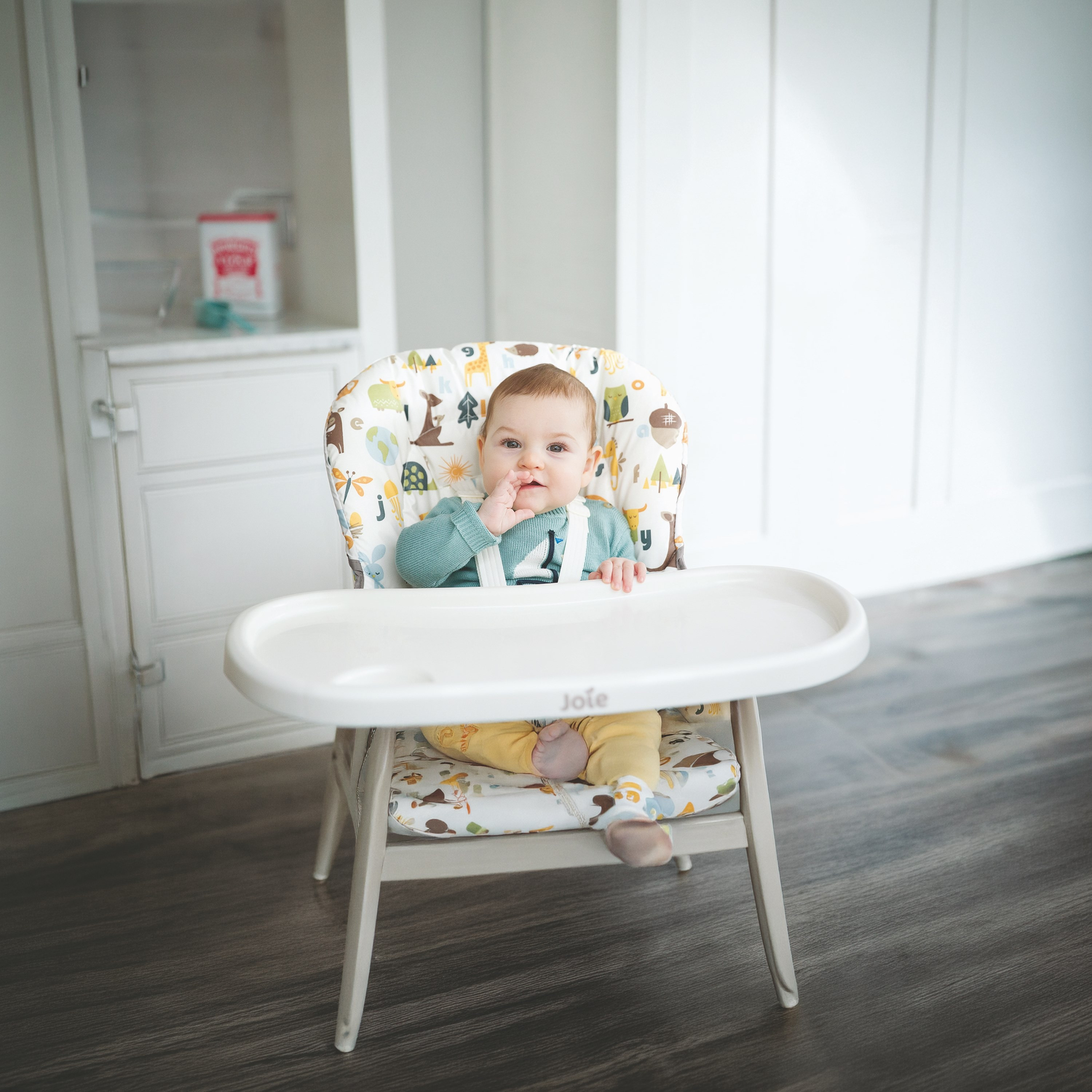 كرسي مرتفع بطبعات مامزي سناكر بيري هابي من جوي-baby-feeding-highchairsandboosters-image-9
