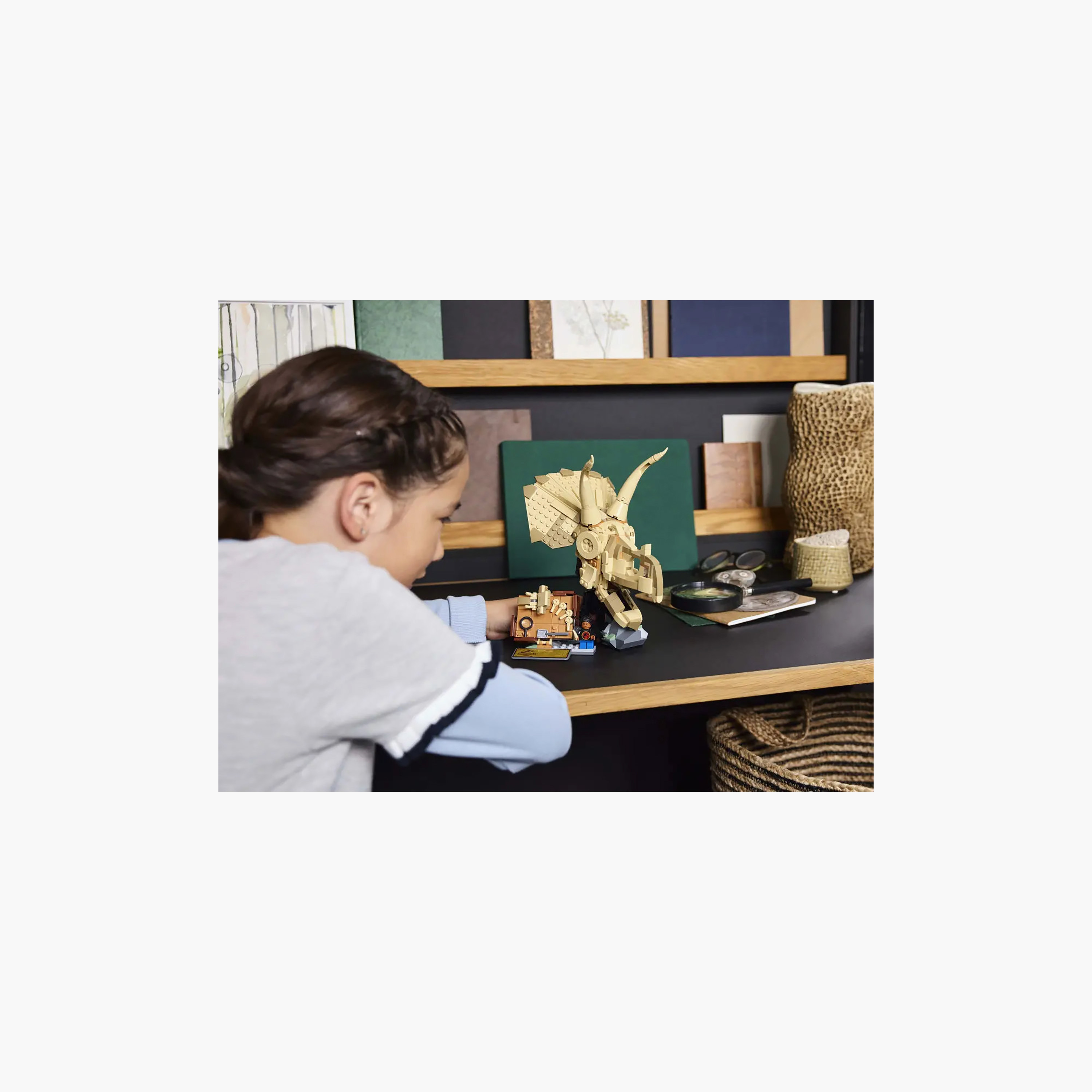 LEGO Jurassic World Dinosaur Fossils: Triceratops Skull Model Set 76969-toys-buildingblocks-blocks-image-3