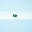 LEGO Creator 3 in 1 Turtle with a Water Lily Flower 31377-toys-buildingblocks-blocks-image-11