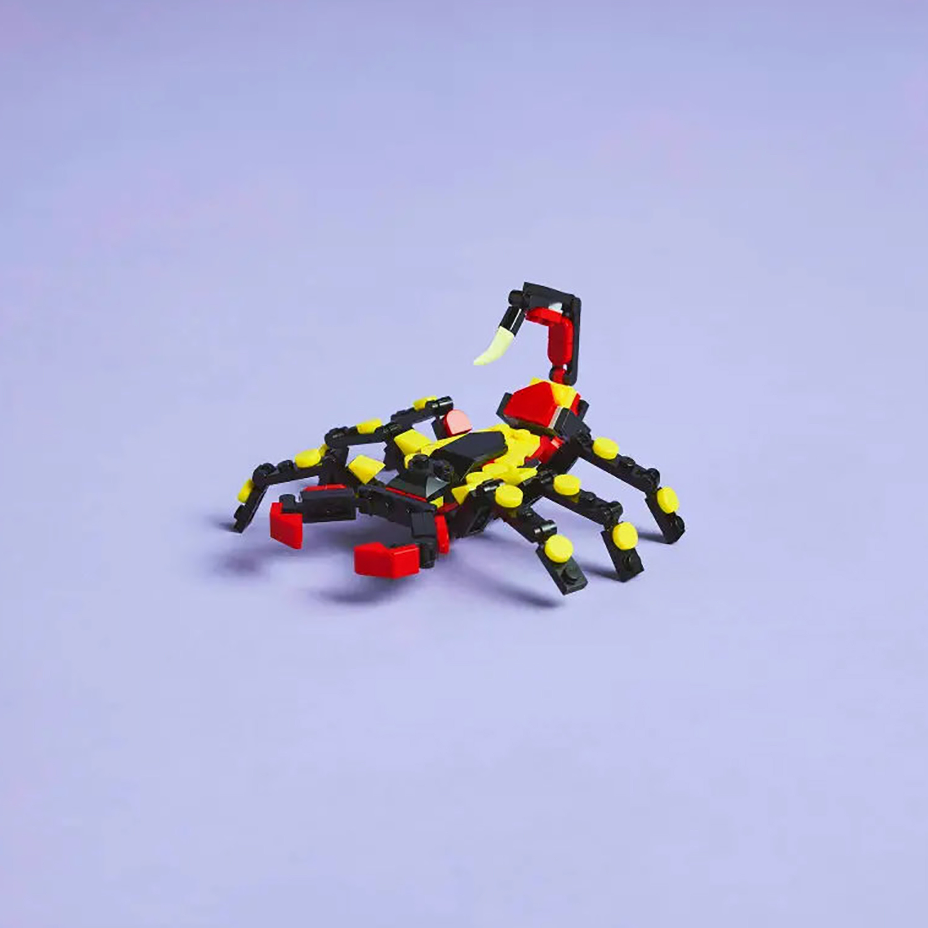 LEGO Creator 3in1 Wild Animals: Surprising Spider Toy Playset 31159-toys-buildingblocks-blocks-image-10