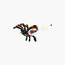 LEGO Creator 3in1 Wild Animals: Surprising Spider Toy Playset 31159-toys-buildingblocks-blocks-image-4