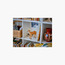 طقم بناء حيوان حصان جميل 3 في 1 كرييتور 31166 من ليغو-toys-buildingblocks-blocks-image-3